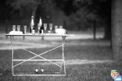 Cocktail Party * (102 Diapositives)